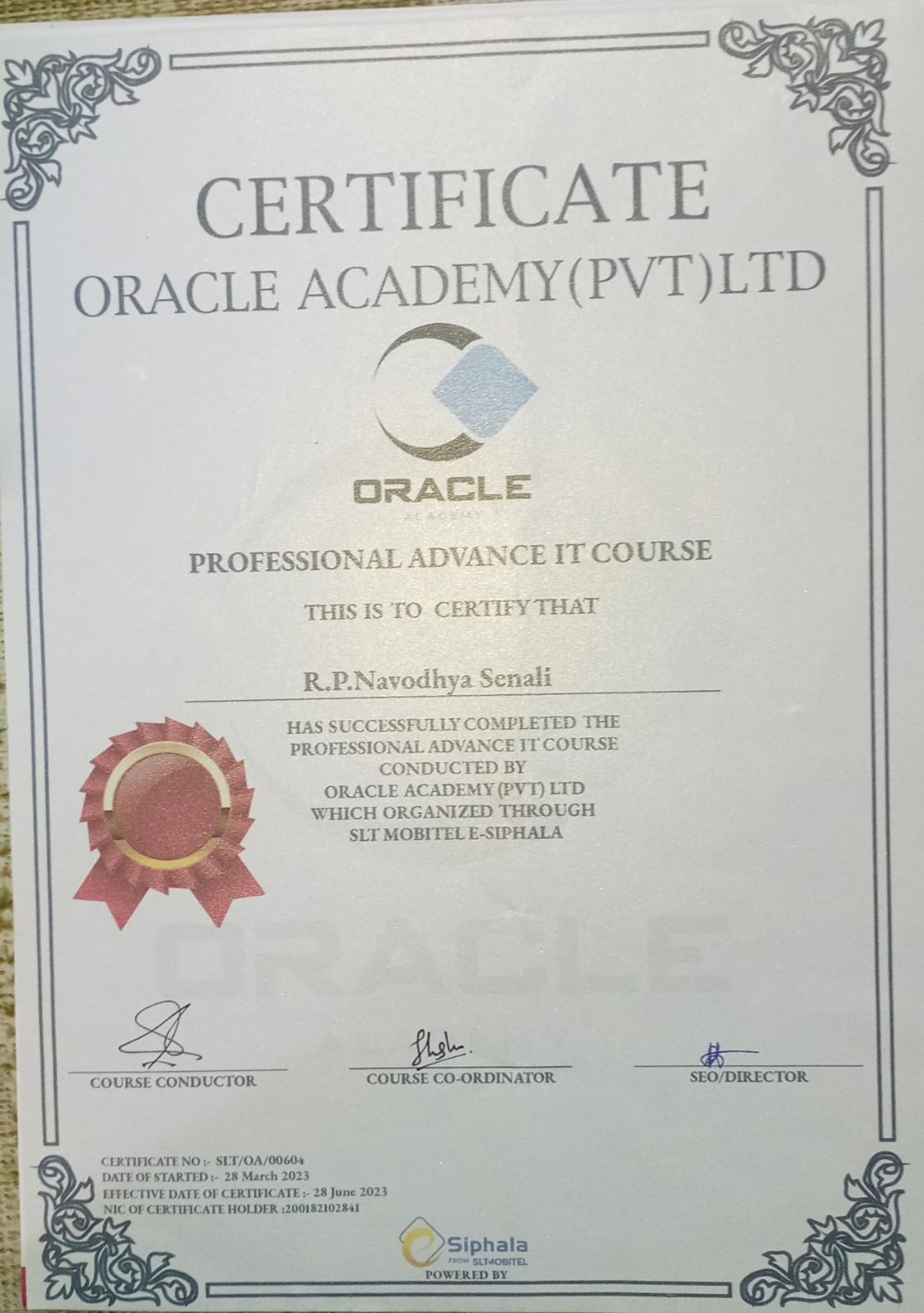 Oracle Professional Advanced IT Course